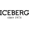 Iceberg