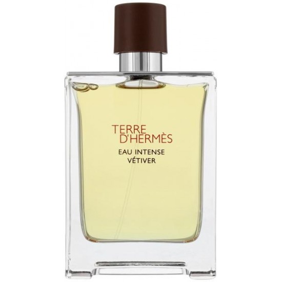 Hermes Terre D Hermes EDT 100 ml TESTER For Men